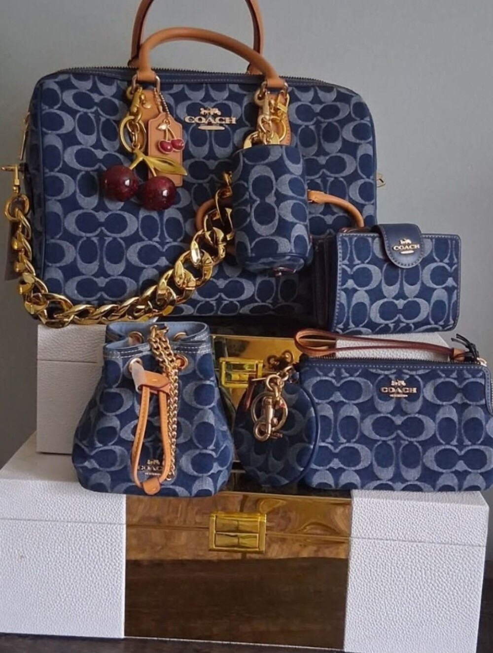 NOT FOR SALE Coach Bags they are so 🥰 cute/Not for Sale